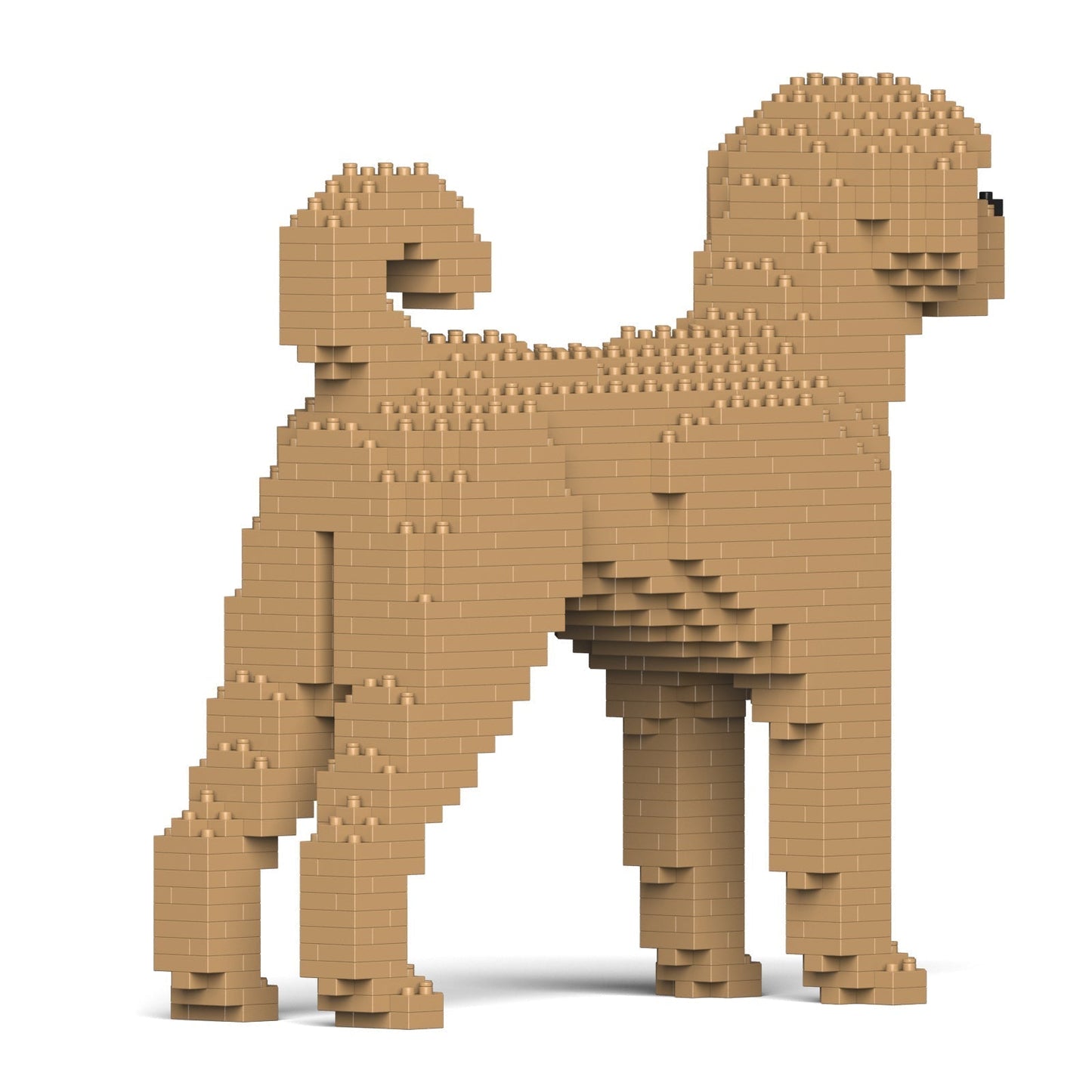 Scultura Jekca Labradoodle vista frontale