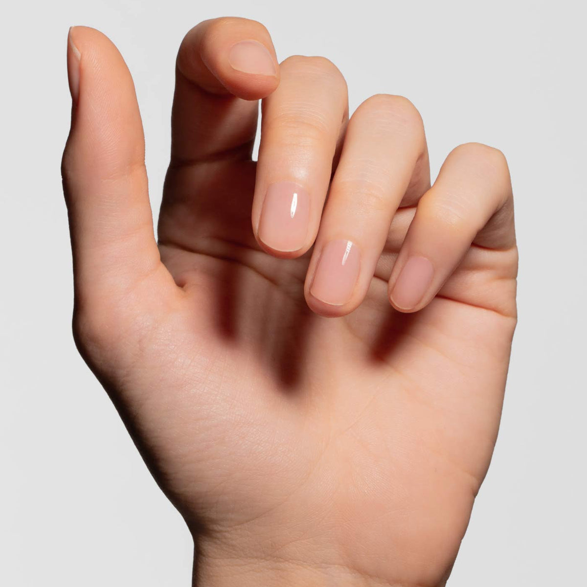 Astra Professional Base Coat — dettaglio 2