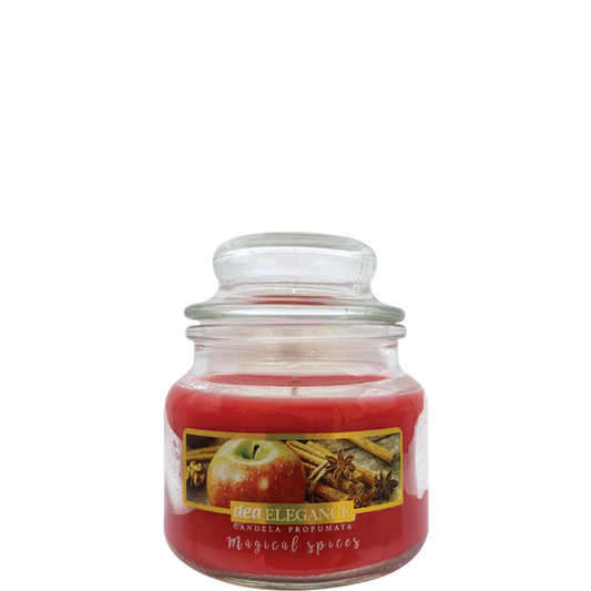 Dea Elegance Magical Spices — candela profumata 100 g