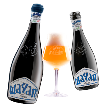 Bottiglia Birra Baladin Wayan