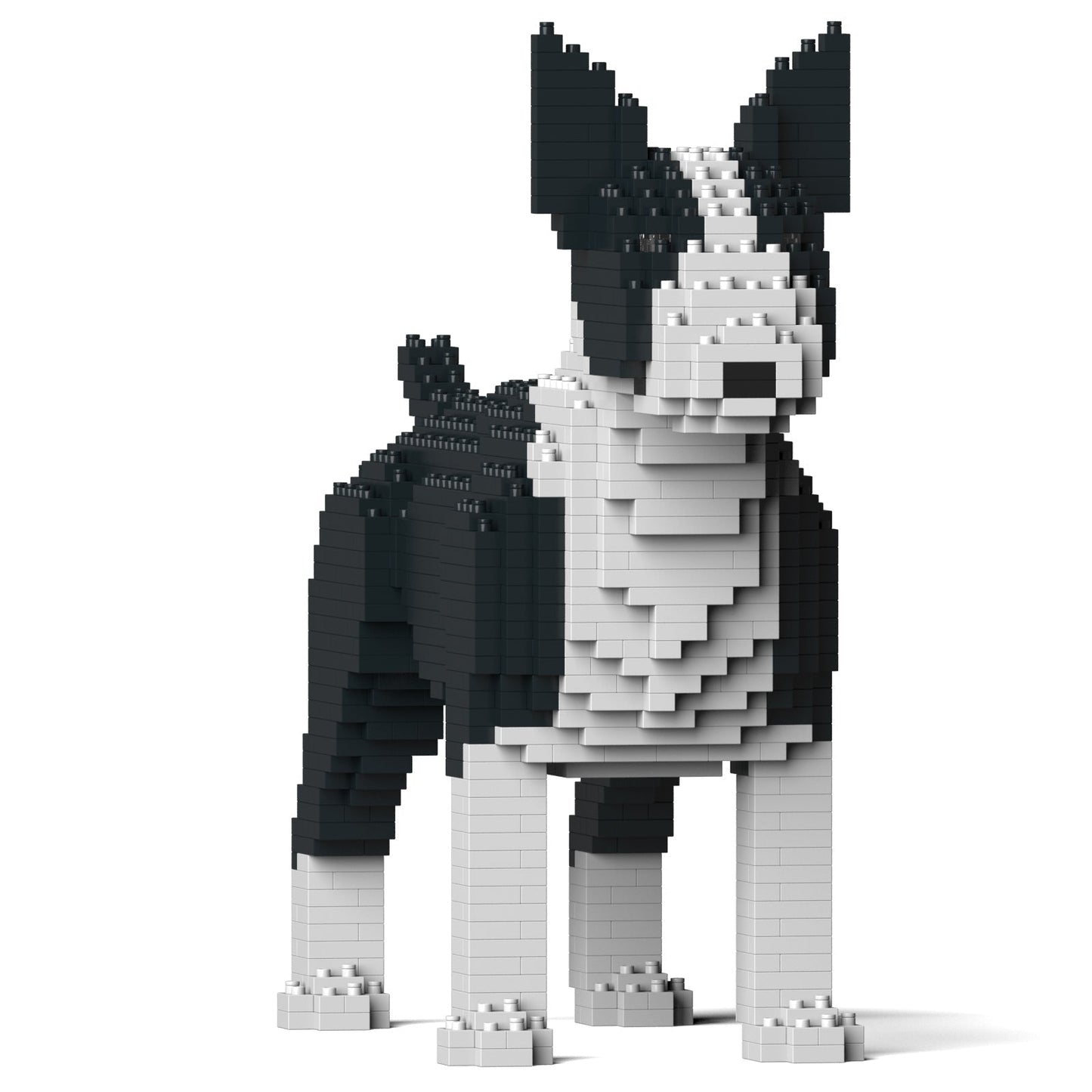 Scultura Jekca Bull Terrier vista di tre quarti