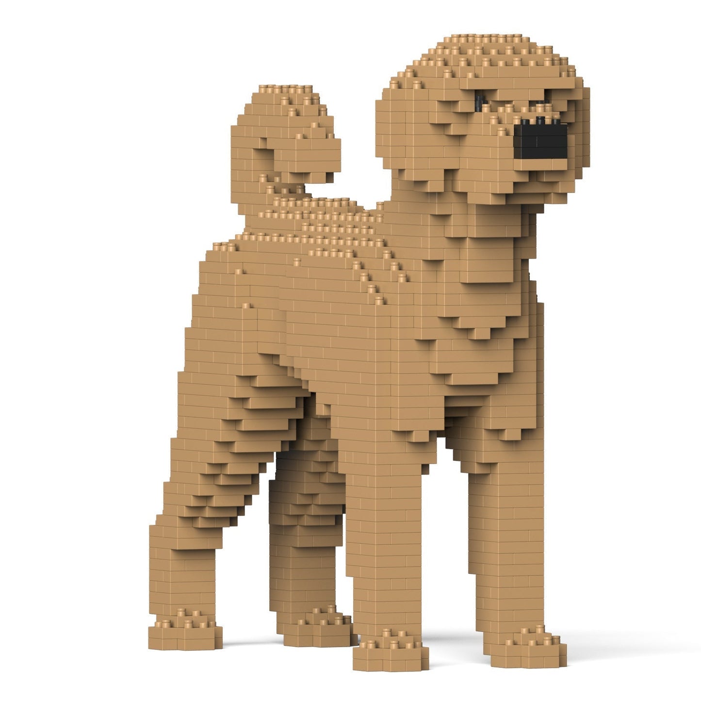 Scultura Jekca Labradoodle vista di tre quarti
