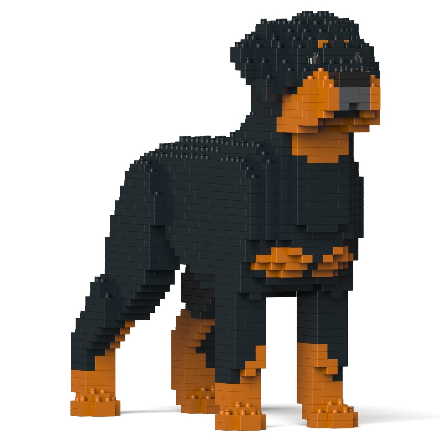 Scultura Jekca Rottweiler vista di tre quarti