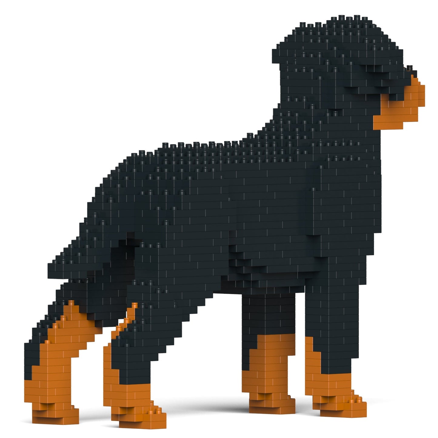 Scultura Jekca Rottweiler vista frontale