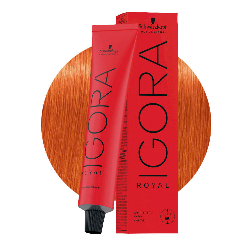 IGORA ROYAL 0-77 concentrato rame — tubo 60 ml e ciocca colore