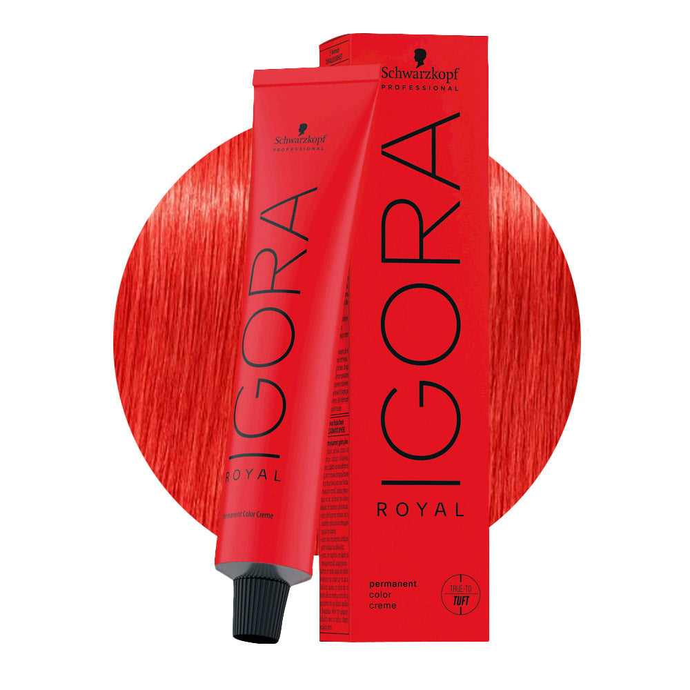 IGORA ROYAL 0-88 concentrato rosso — tubo 60 ml e ciocca colore