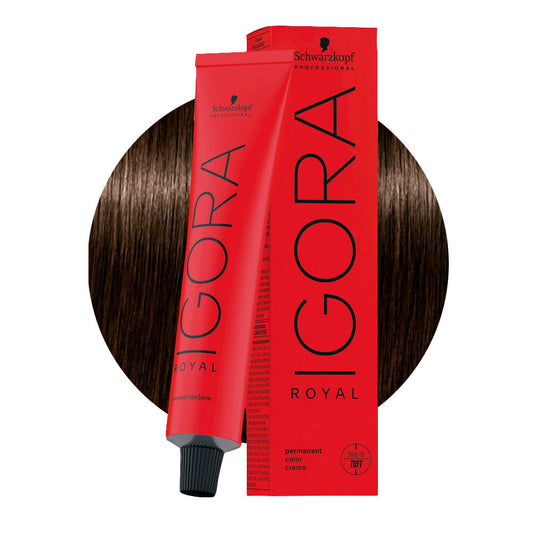 IGORA ROYAL 3-65 castano scuro cioccolato dorato — tubo 60 ml e ciocca colore