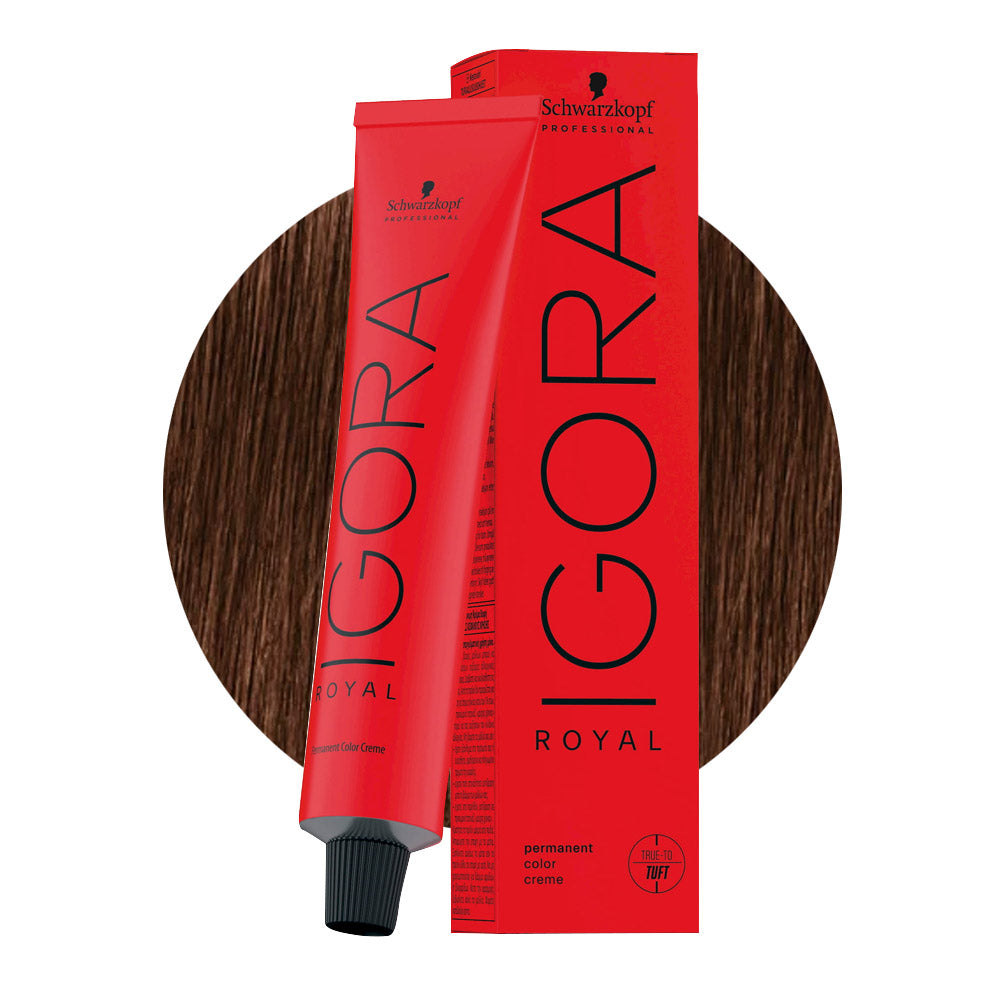 IGORA ROYAL 3-68 castano scuro cioccolato rosso — tubo 60 ml e ciocca colore