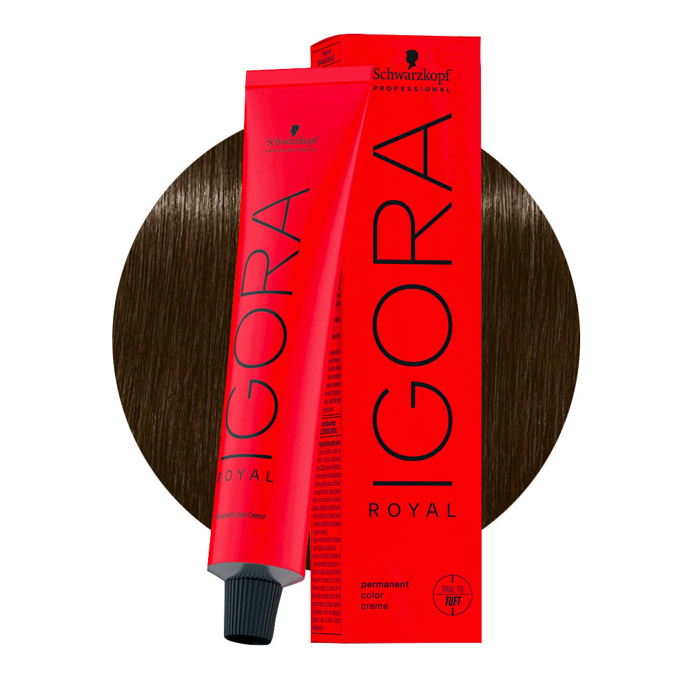 IGORA ROYAL 5-16 castano chiaro cendré cioccolato — tubo 60 ml e ciocca colore