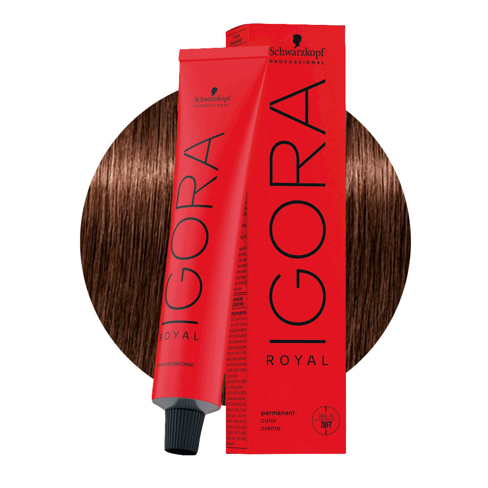 IGORA ROYAL 5-6 castano chiaro cioccolato — tubo 60 ml e ciocca colore