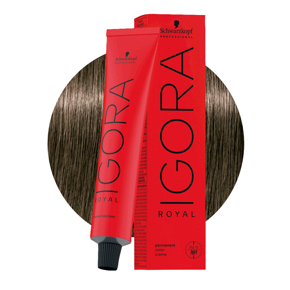IGORA ROYAL 6-1 biondo scuro cendré — tubo 60 ml e ciocca colore