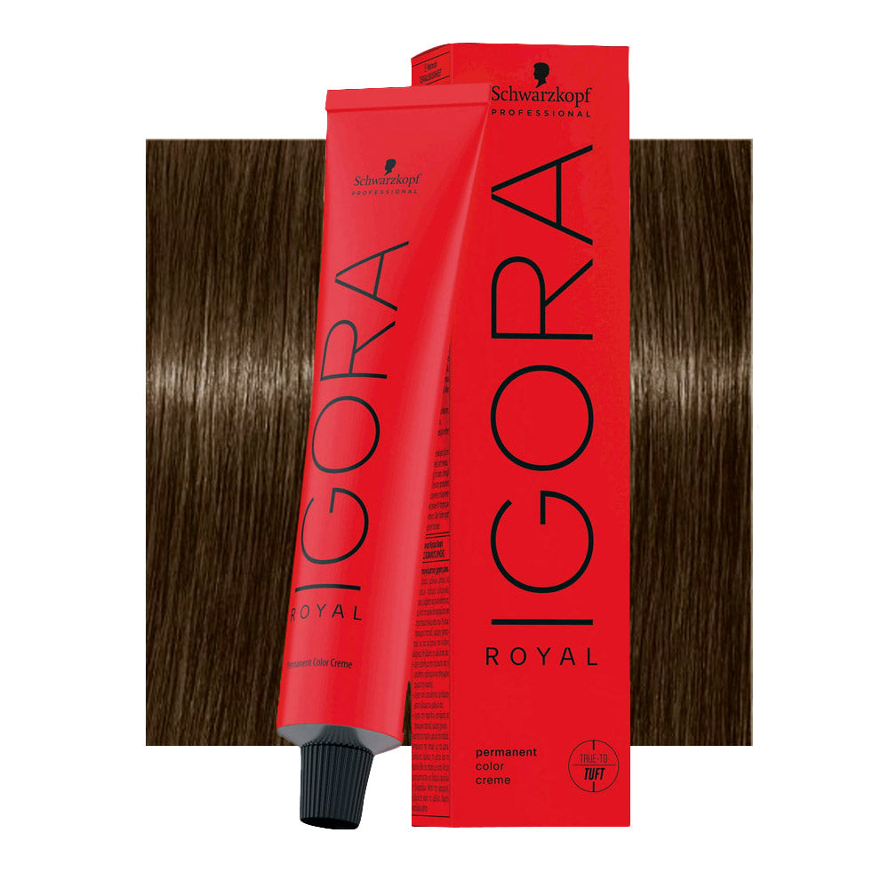 IGORA ROYAL 6-16 biondo scuro cendré cioccolato — tubo 60 ml e ciocca colore