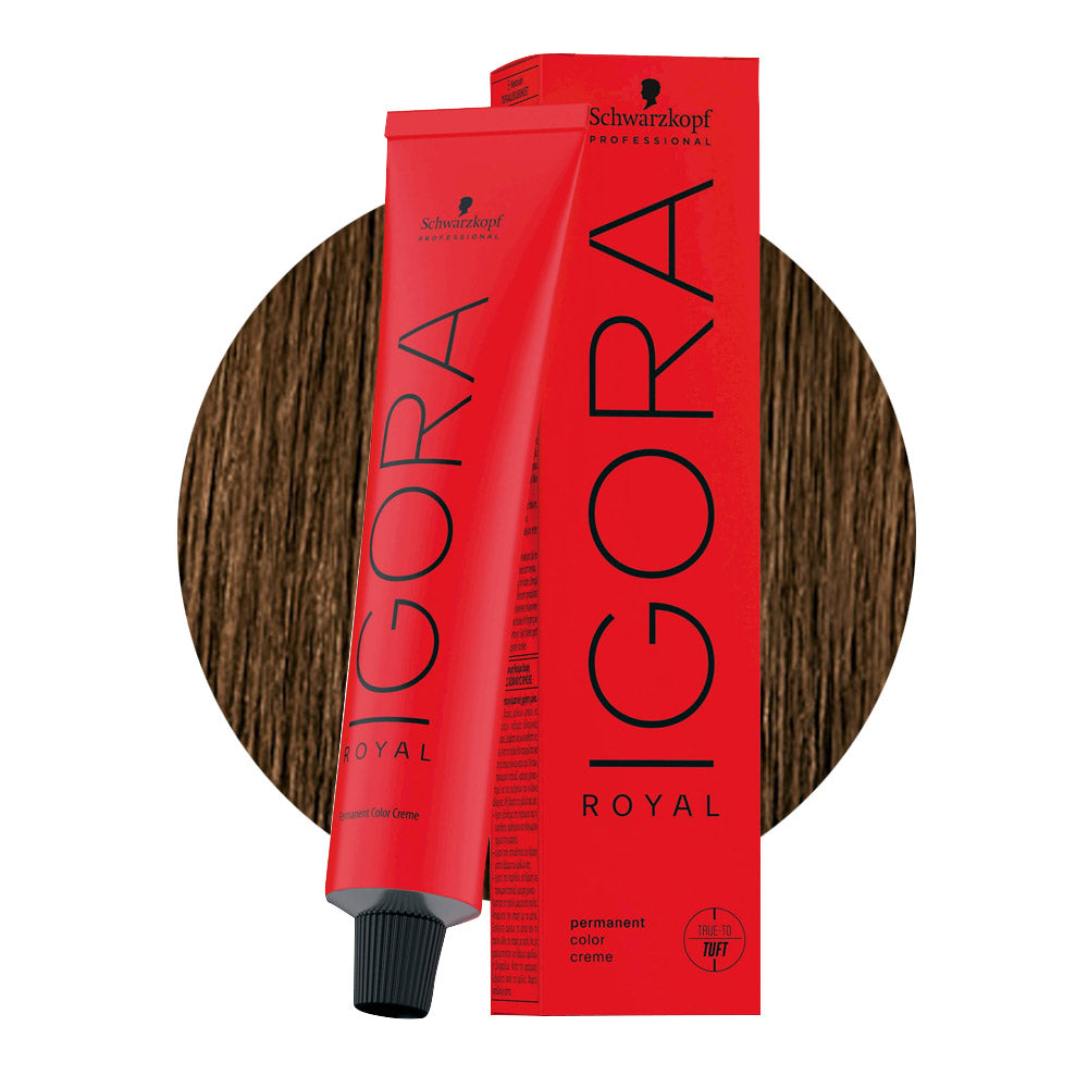 IGORA ROYAL 6-5 biondo scuro dorato — tubo 60 ml e ciocca colore