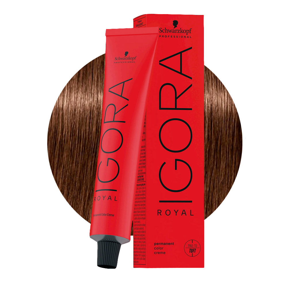 IGORA ROYAL 6-6 biondo scuro cioccolato — tubo 60 ml e ciocca colore