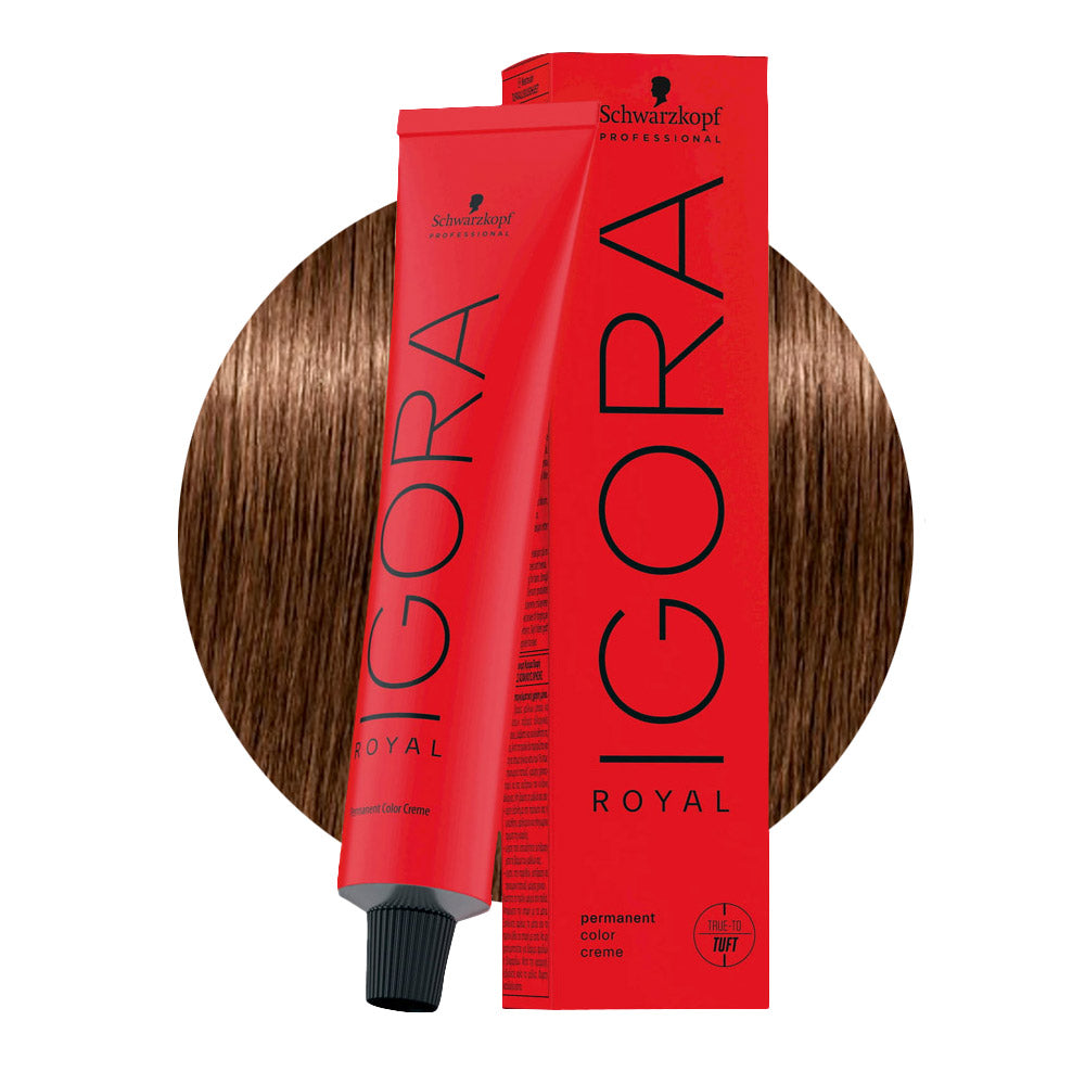 IGORA ROYAL 6-65 biondo scuro cioccolato dorato — tubo 60 ml e ciocca colore