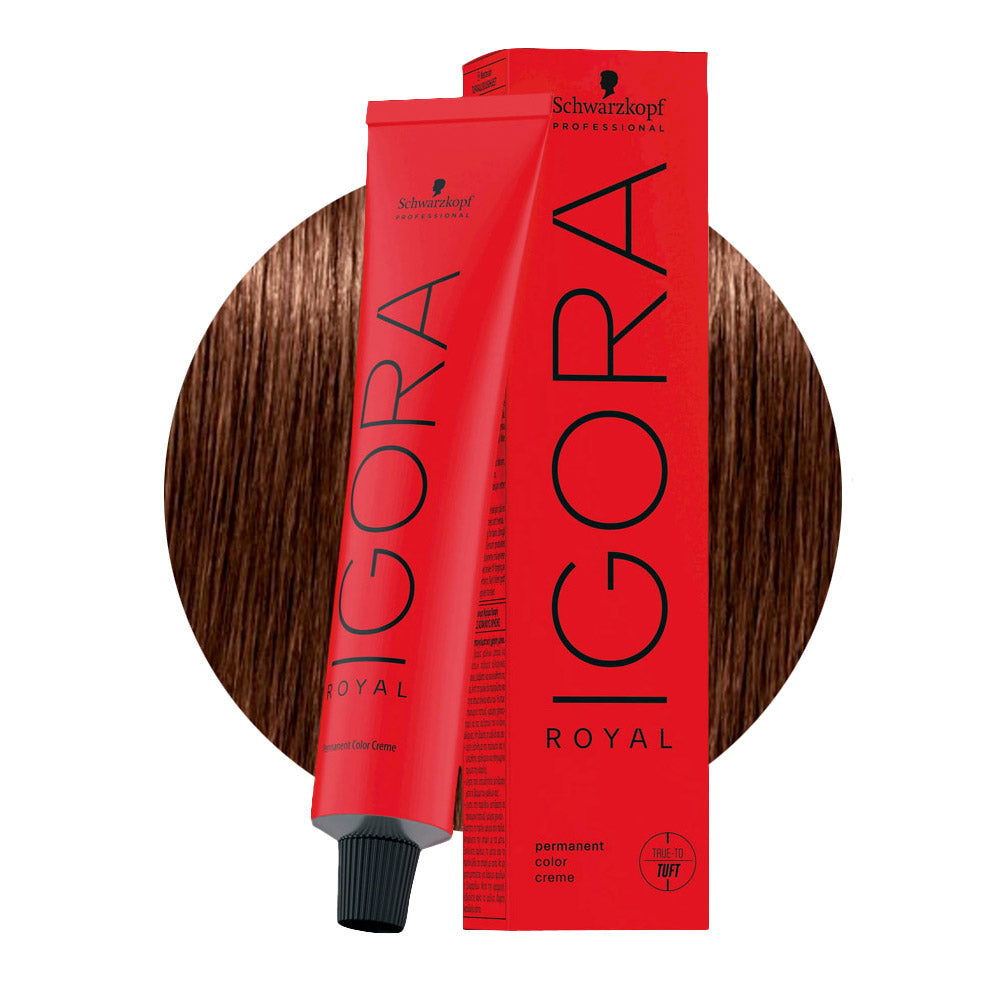 IGORA ROYAL 6-68 biondo scuro cioccolato rosso — tubo 60 ml e ciocca colore