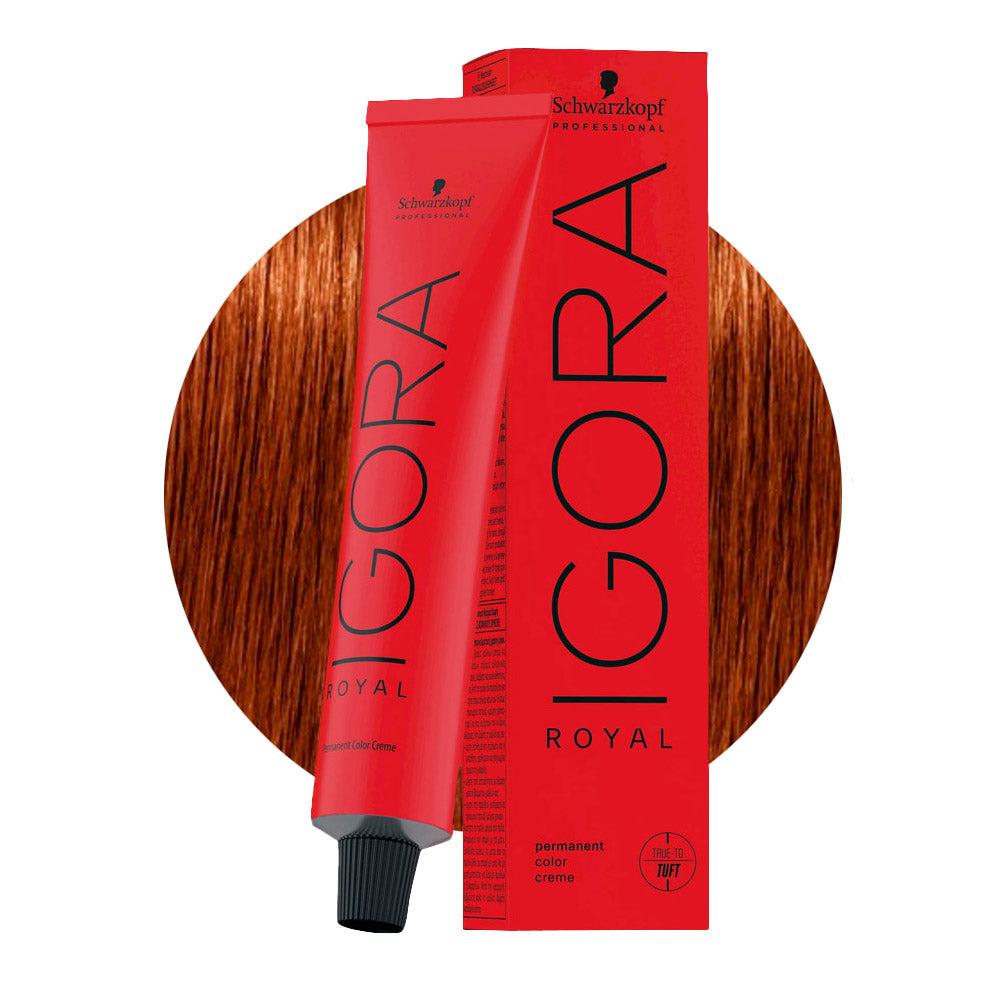 IGORA ROYAL 6-77 biondo scuro rame extra — tubo 60 ml e ciocca colore