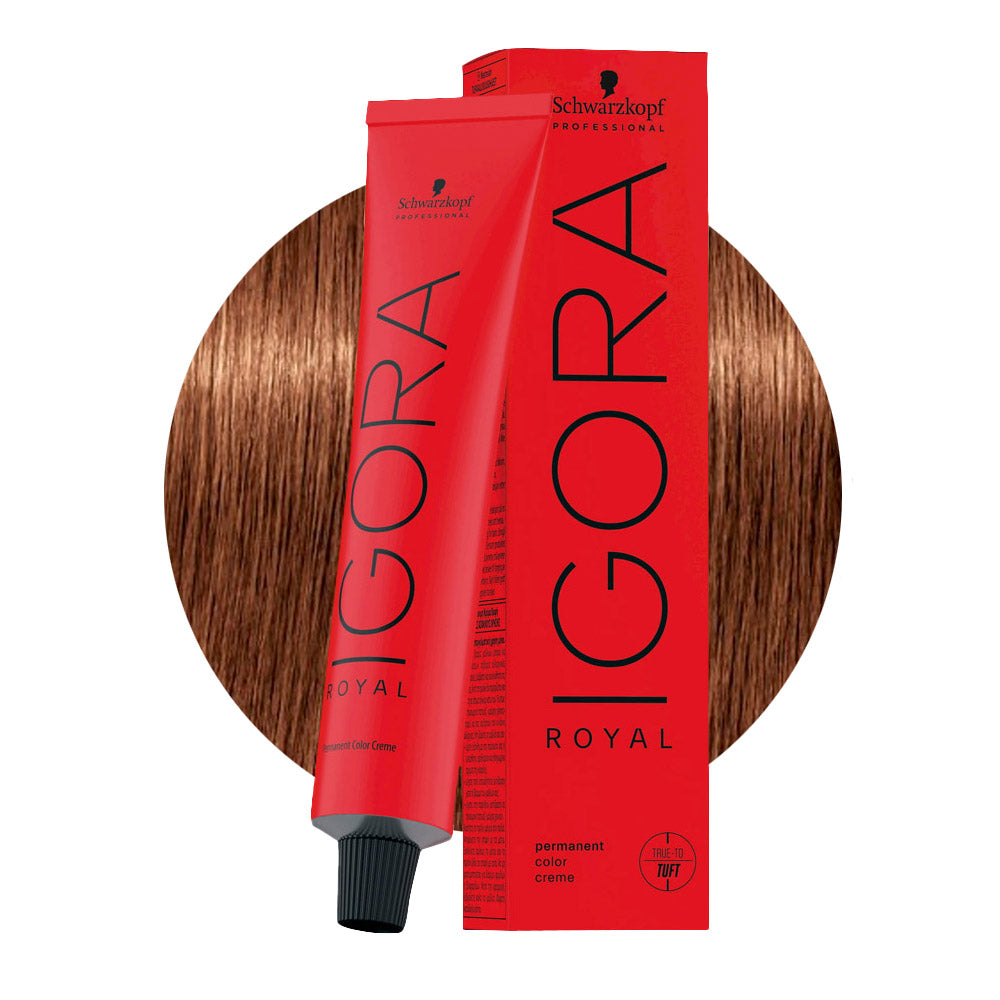 IGORA ROYAL 7-57 biondo medio dorato rame — tubo 60 ml e ciocca colore