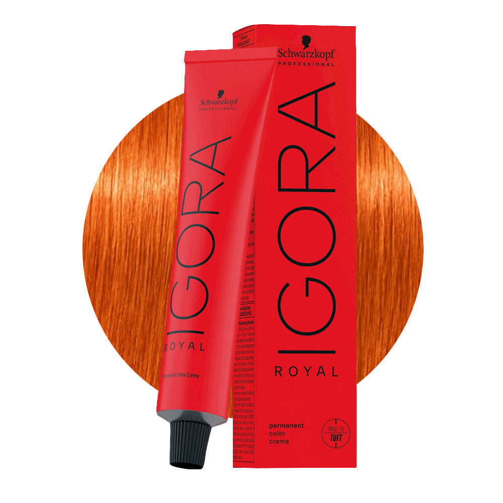 IGORA ROYAL 8-77 biondo chiaro rame extra — tubo 60 ml e ciocca colore